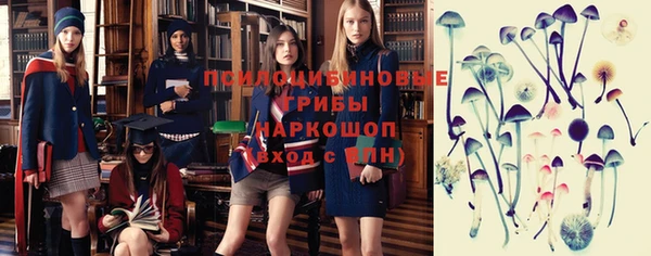 а пвп мука Верея