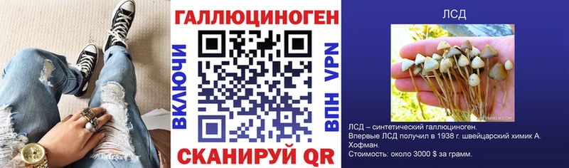 kraken tor  Карачаевск  Галлюциногенные грибы мухоморы  купить наркотики цена 